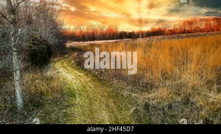 Un tramonto mistico con cime di alberi e prati incandescenti. Il sentiero verde si dirige verso il tramonto del sole. Foto Stock