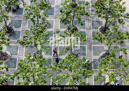 Zeil di Francoforte con piano verde di alberi Foto Stock