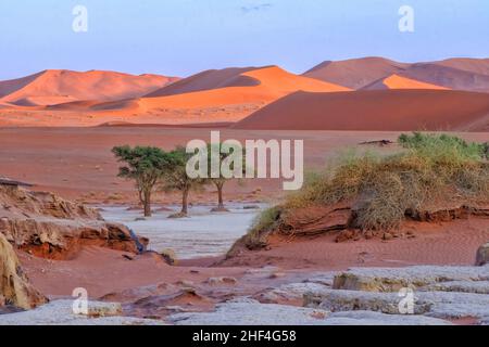 Paesaggi dune arancioni. Namibia paesaggio. Sossusvlei, Namib Naukluft National Park, Namibia Foto Stock