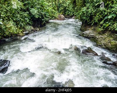 Rio Mindo, western Ecuador, il fiume che attraversa cloudforest a 1400m di altitudine. Foto Stock