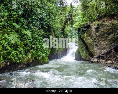 Rio Mindo, western Ecuador, il fiume che attraversa cloudforest a 1400m di altitudine. Foto Stock