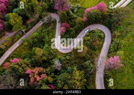 Chiang mai, Tailandia. 14th Jan 2022. Una foto drone mostra Himalayan Ciliegi in fiore a Chiangmai, Thailandia, 14 gennaio 2022. La Thailandia ha i primi ciliegi in fiore nel mondo ogni anno, nel Khun Wang Royal Agricultural Project, creato dal compianto re Bhumibol Adulyadej. (Credit Image: © Andre Malerba/ZUMA Press Wire) Foto Stock