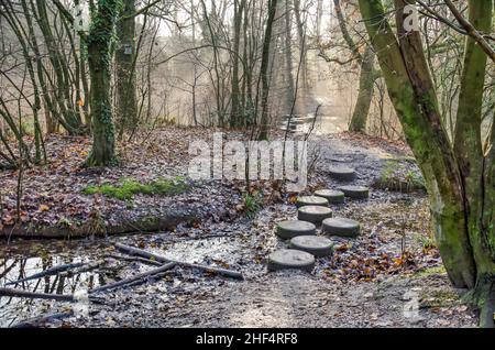 Leiden (Paesi Bassi), 16 dicembre 2021: Pietre rotonde in cemento come parte di un sentiero nel parco forestale di Merenwijk Foto Stock