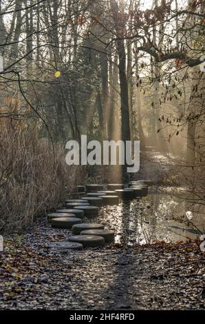 Leiden, Paesi Bassi, 16 dicembre 2021: Raggi di luce del sole illuminano un percorso con pietre di pietra in cemento nel bosco-come ambiente di Merenwi Foto Stock