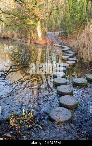 Leiden (Paesi Bassi), 16 dicembre 2021: Sentiero con pietre che conducono attraverso uno stagno nel parco di Merenwijk Foto Stock