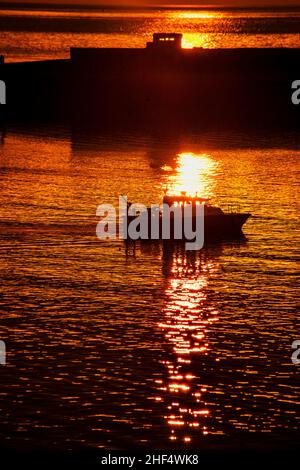 FRANCIA SENNA MARITTIMA (76) NORMANDIA, IL PORTO, PORTO Foto Stock