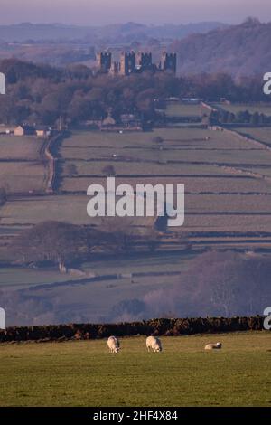 Riber Castle, Matlock, Derbyshire, Inghilterra Foto Stock