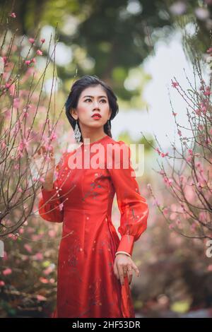 Ho Chi Minh City, Vietnam: Ragazza vietnamita che indossa ao dai in posa con fiori di pesca per celebrare il nuovo anno Foto Stock