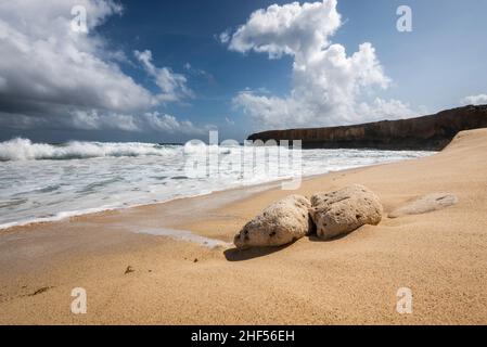 Un paio di pietre di corallo si sono lavate sulla spiaggia di Dos Playa lungo la costa settentrionale di Aruba nel Parco Nazionale di Arikok. Foto Stock