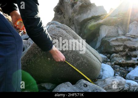 Verde dolerite irregolare portato sul ghiacciaio del Mare d'Irlanda da Preseli a Mumbles c 19000 anni fa. Pietra come questa è stata usata per costruire Stonehenge. Foto Stock