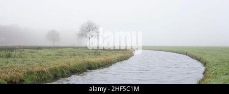 alberi lungo il canale vicino alla foresta nella provincia olandese di utrecht in nebbiosa giornata invernale Foto Stock