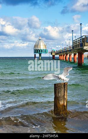 Il molo di Zingst al Mar Baltico con gabbiano di partenza in primo piano. Il cielo nuvoloso e il mare leggermente ondulato completano il paesaggio. Foto Stock