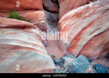 Sentiero entrata nello slot canyon. La Valle del Fuoco del parco statale, Nevada Foto Stock