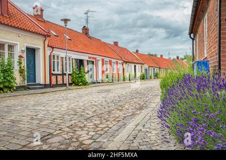Simrishamn, storico villaggio di pescatori in Svezia con stree acciottolate, fiori di lavanda viola da una fila di case della città vecchia nella regione svedese di Osterlen Foto Stock