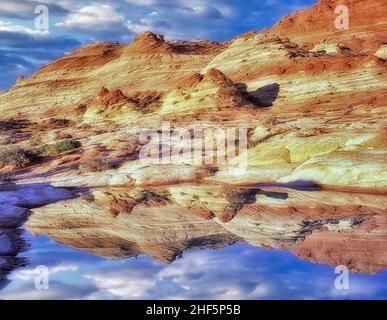 Laghetto che riflette l'acqua piovana. Vermillion-Cliffs Wilderness, Arizona/Utah Foto Stock