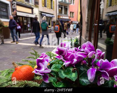 Street decorazione floreale e vaghi sulla strada della città vecchia di Annecy in Francia Foto Stock