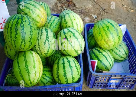 L'anguria gialla cresce molto nei tropici con le condizioni del terreno asciutto. Questo frutto ha un sapore dolce e contiene molta acqua. Questo frutto cresce il ragno Foto Stock