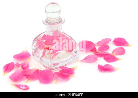 Acqua di rosa in bottiglia di vetro art deco e petali rosa. Può contribuire a mantenere l'equilibrio del ph della pelle, è antibatterico, aiuta a ridurre il rossore della pelle, può pelare Foto Stock