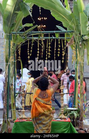 Colombo, Sri Lanka. 14th Jan 2022. Una donna prega in un tempio durante la festa di Thai Pongal a Colombo, Sri Lanka, il 14 gennaio 2022. La gente celebra il Pongal Tailandese durante la stagione del raccolto per ringraziare il sole per aver dato loro un buon raccolto. Credit: Gayan Sameera/Xinhua/Alamy Live News Foto Stock