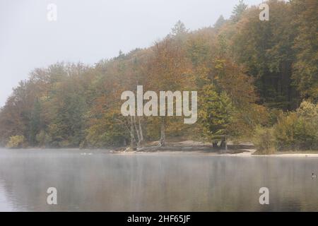 Nebbia mattutina al lago di Wochein dissipa, Slovenia, 15.10.2021. Foto Stock