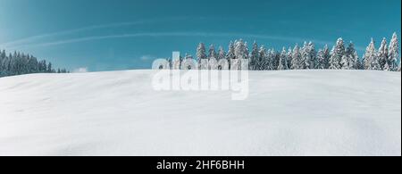 paesaggio invernale innevato con cielo blu e abeti Foto Stock