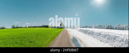 Le stagioni cambiano da estate a inverno, vicolo su una strada di campagna Foto Stock