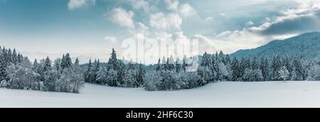 Meraviglioso paesaggio da favola nella Allgäu Foto Stock