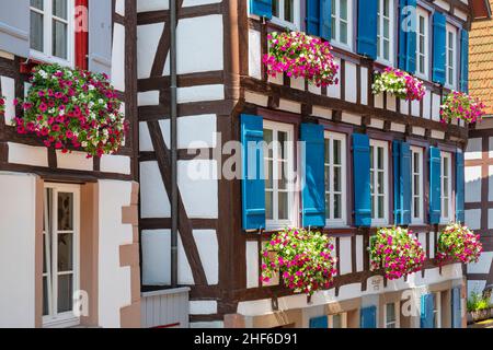 Case a graticcio ornate di fiori sulla piazza del mercato di Schiltach, Foresta Nera, Kinzigtal, Baden-Wuerttemberg, Germania Foto Stock