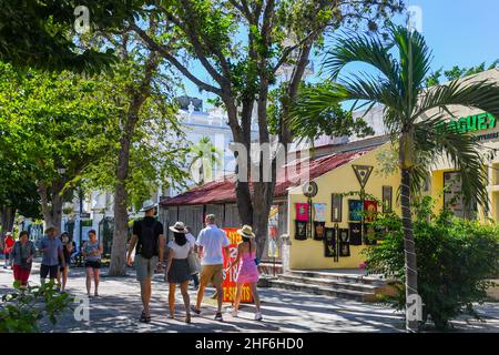 Paseo de Montejo famoso viale, Merida Messico Foto Stock