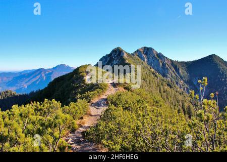 Camminata stretta da Heimgarten a Herzogstand, montagna, Prealpi bavaresi, Alpi, Foreland Alpina, Oberland bavarese, Baviera superiore, Baviera, Germania meridionale, Germania, Foto Stock