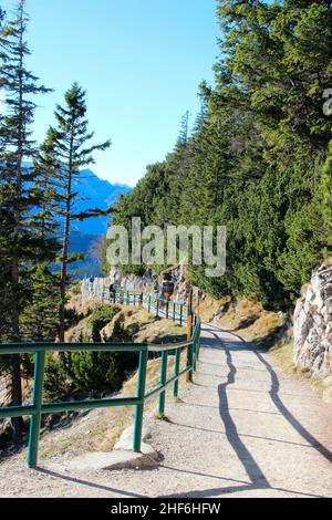 Escursione da Walchensee all'Herzogstand, 1731 m., escursionisti, colline pedemontane delle Alpi, Germania, Baviera, alta Baviera, Tölzer Land, l'atmosfera suggestiva del sentiero ti farà fare un'escursione Foto Stock