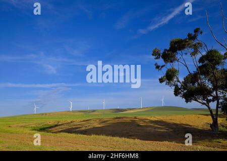 Turbine eoliche nei pressi di Caledon, Capo occidentale, Sudafrica. Foto Stock