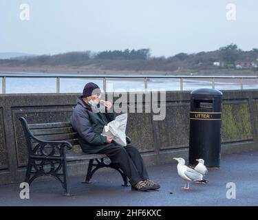 Uomo seduto su una panca mangiando patatine da un involucro di carta sul lungomare che è guardato da gabbiani. Burnham-on-Sea, Somerset, Inghilterra Foto Stock