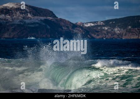 Un arrabbiato colore verde turchese massiccio arricciatura di un'onda come rotola lungo una spiaggia. La nebbia bianca e la schiuma dell'onda sono schiumose e soffici. Foto Stock