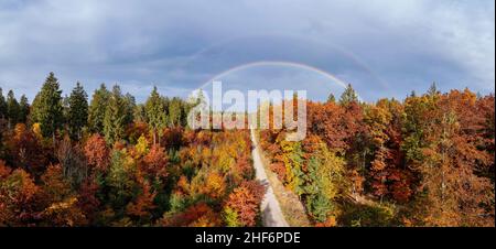 Incredibile arcobaleno su alberi colorati nella stagione autunnale, concetto per la bella natura in una splendida giornata in autunno Foto Stock