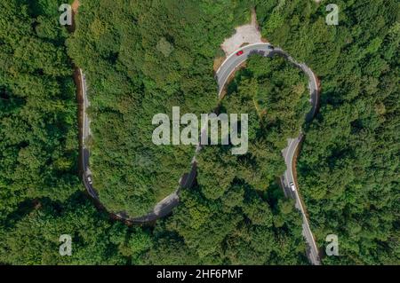 Strada tortuosa nel mezzo di una foresta verde in estate. Foto aerea come concetto per un viaggio in auto, viaggio in vacanza come top down shot. Foto Stock
