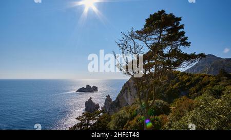 Grecia, Isole greche, Isole IONIE, Corfù, nord-ovest, Paleokastritsa, vista dal monastero fino al mare e un isolotto offshore, retroilluminazione, sole a forma di stella, alberi in primo piano, brillare sull'acqua Foto Stock
