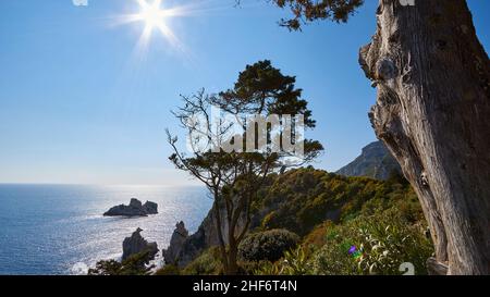 Grecia, Isole greche, Isole IONIE, Corfù, nord-ovest, Paleokastritsa, vista dal monastero fino al mare e un isolotto offshore, retroilluminazione, sole a forma di stella, alberi in primo piano, brillare sull'acqua, grande tronco di albero sulla destra nella foto Foto Stock