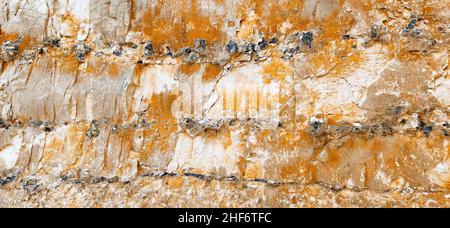 Le scogliere di gesso verticali sono caratteristiche della Cote d'Albatre, Quiberville Plage, Francia, Normandia, Foto Stock