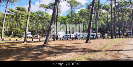 Motorhomes nella pineta, Francia, costa atlantica, Bordelais, vicino alla Dune du Pilat Foto Stock