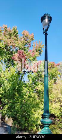 Jardin Parco pubblico della città di Bordeaux, Francia, Foto Stock