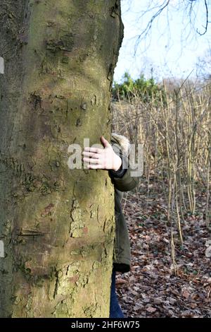 Bambino giovane che si nasconde dietro un albero in bosco mostrando solo la sua mano.il ragazzo giovane sta abbracciando il tronco dell'albero giocando a nascondere e cercare all'esterno in inverno sole Foto Stock