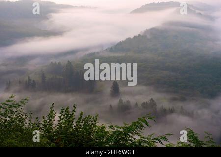 Mattina umore sul Cloef, nebbia sopra il Saarschleife vicino Mettlach, Saartal, Saarland, Germania Foto Stock