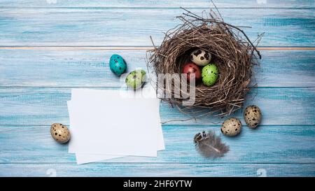 Piccole uova colorate di quaglia dipinte come simbolo del giorno di Pasqua in nido d'uccello come decorazione tradizionale e mock-up di carta su sfondo blu di legno Foto Stock