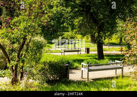 Europa, Polonia, Voivodato Masovian, Zelazowa Wola - luogo di nascita di Frederic Chopin Foto Stock