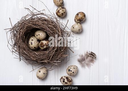 Piccole uova di quaglia come simbolo del giorno di Pasqua in nido d'uccello come decorazione tradizionale su sfondo bianco di legno Foto Stock