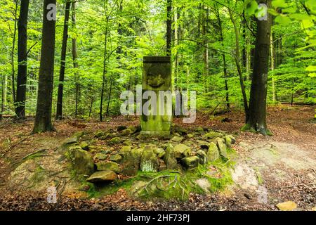 Europa, Polonia, Swietokrzyskie, Swieta Katarzyna Foto Stock