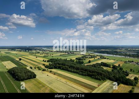 Europa, Polonia, Voivodato Masovian, fiume Bug Foto Stock