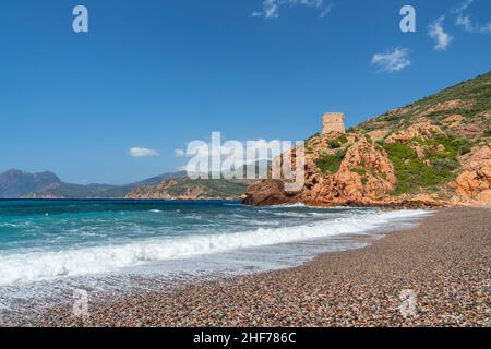 Spiaggia con Torre Pisana sul Golfo di Porto, Porto, Corsica, Francia Foto Stock