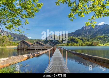 Capanne di barche sul Kochelsee di fronte al Herzogstand, Schlehdorf, alta Baviera, Baviera, Germania Foto Stock